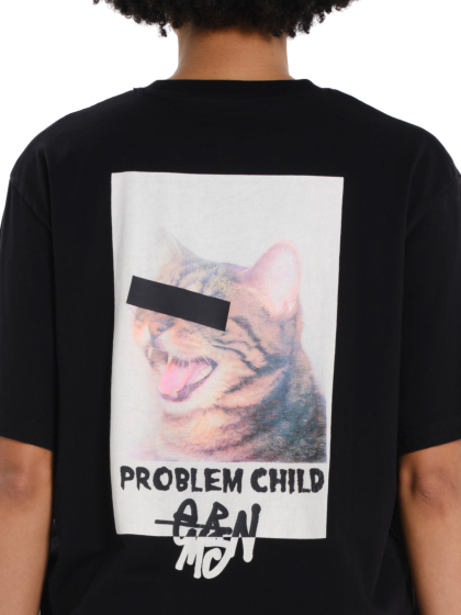 EMERSON CAT 