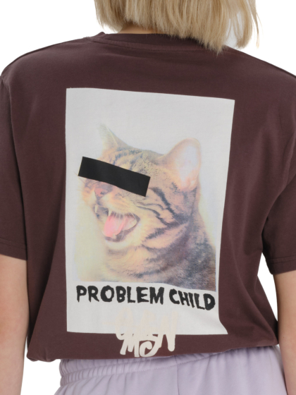 EMERSON CAT 