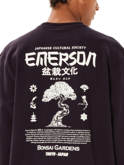 EMERSON 