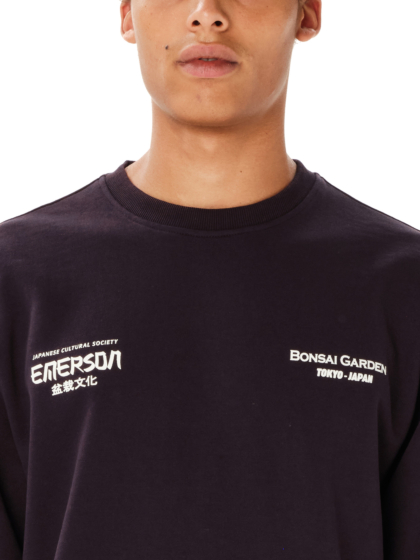 EMERSON 
